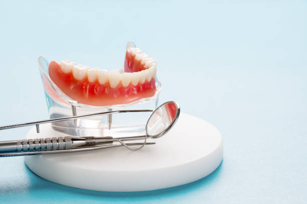 Best Preventive Dentistry  in New Port Richey, FL